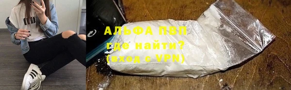 сатива Надым