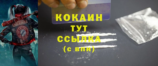 сатива Надым