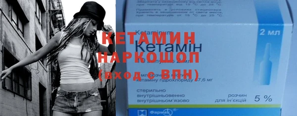 сатива Надым