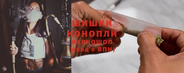 сатива Надым