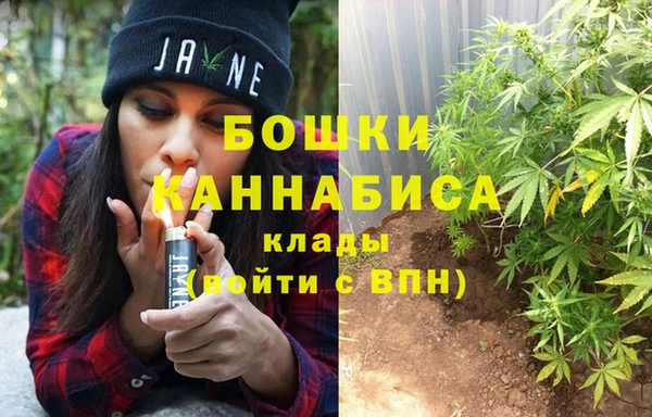 сатива Надым