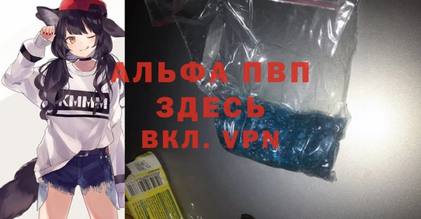 сатива Надым