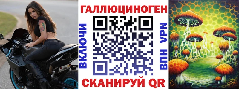 купить закладку  Покачи  мега маркетплейс  Псилоцибиновые грибы Psilocybe 