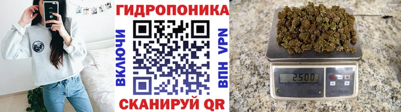 блэк спрут   Покачи  Шишки марихуана OG Kush  где продают наркотики 